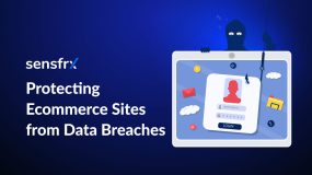 Protecting E-commerce Sites from Data Breaches